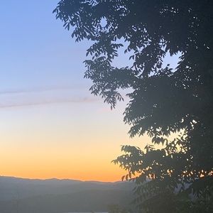 Meet your Posher, Jacqueline